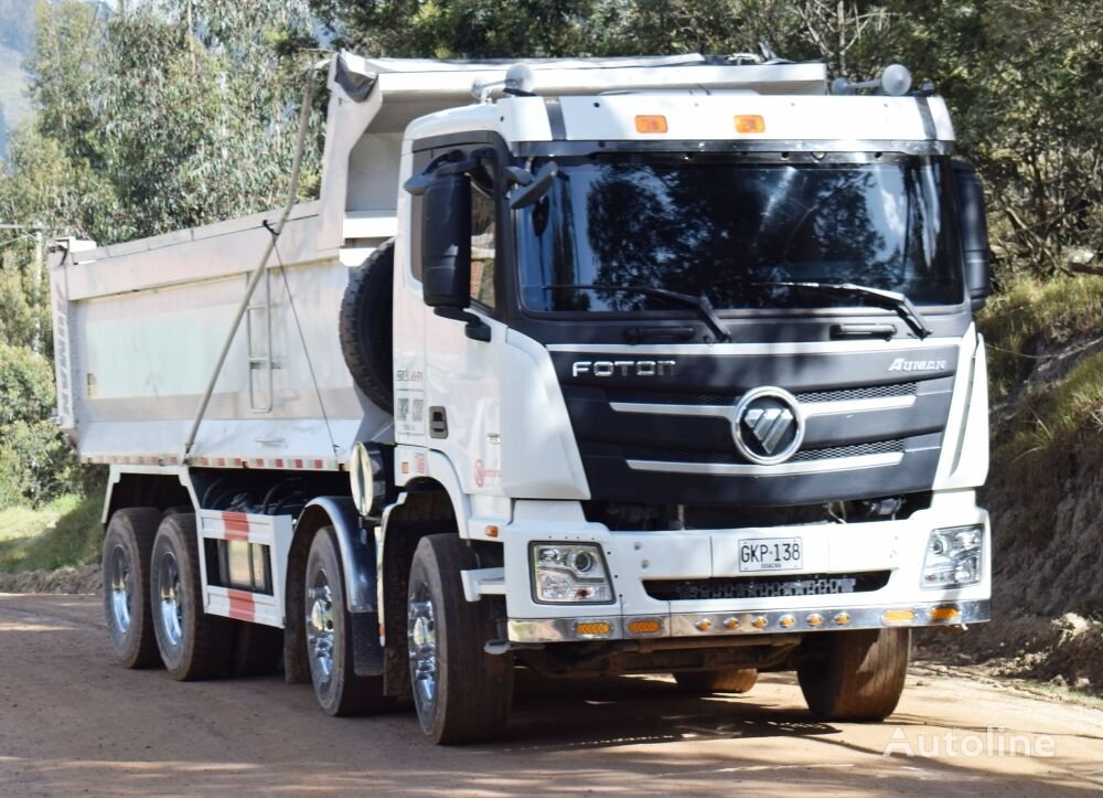 dump-truck-Foton-GTL-12-Wheeler-Dump-Truck-8×4-for-Sale-Near-Me-in-Nigeria-S—1685072449929767484_big–23052606402694166500